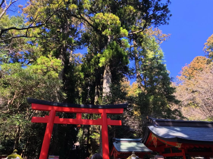 Hakone Tour