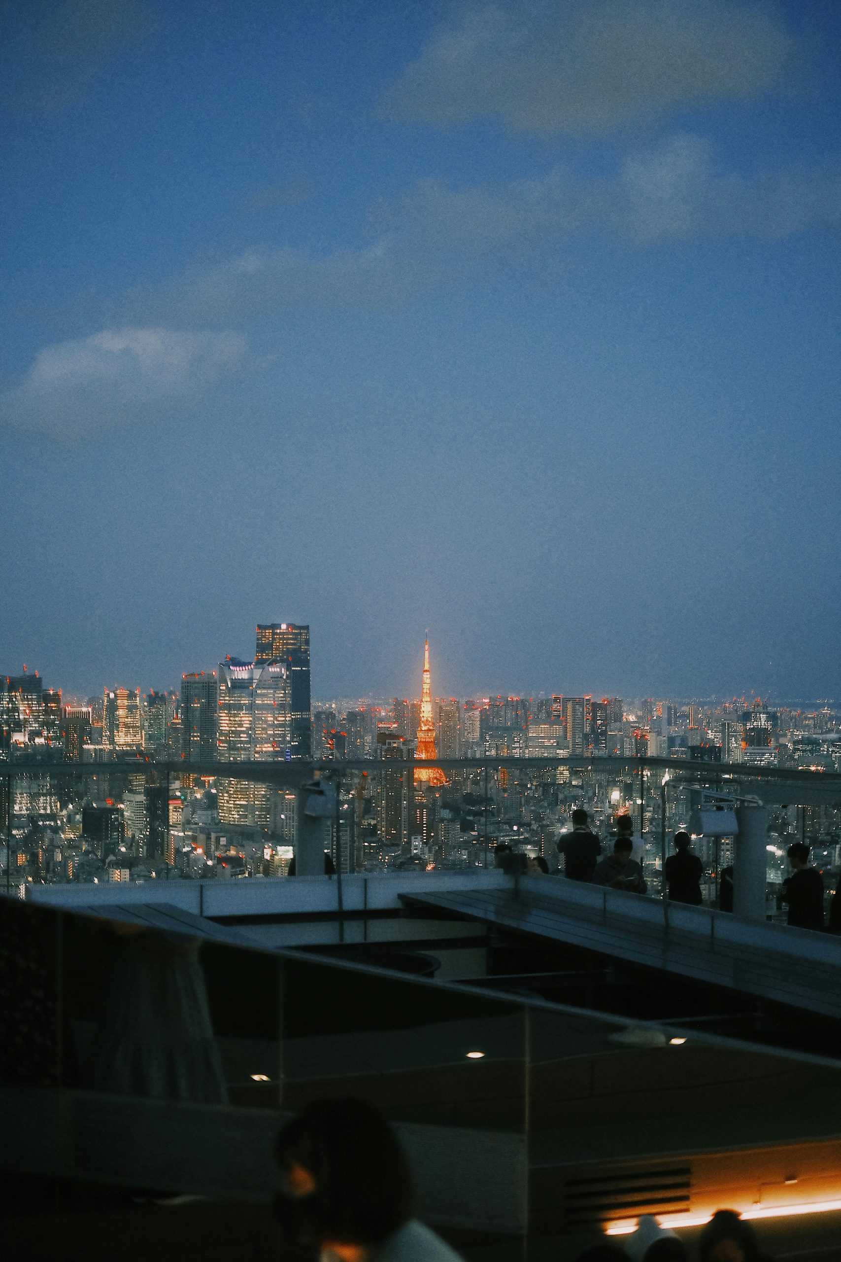 Navigating Japan: Trains, Tracks & Travel Tricks — A Complete Transportation Guide 