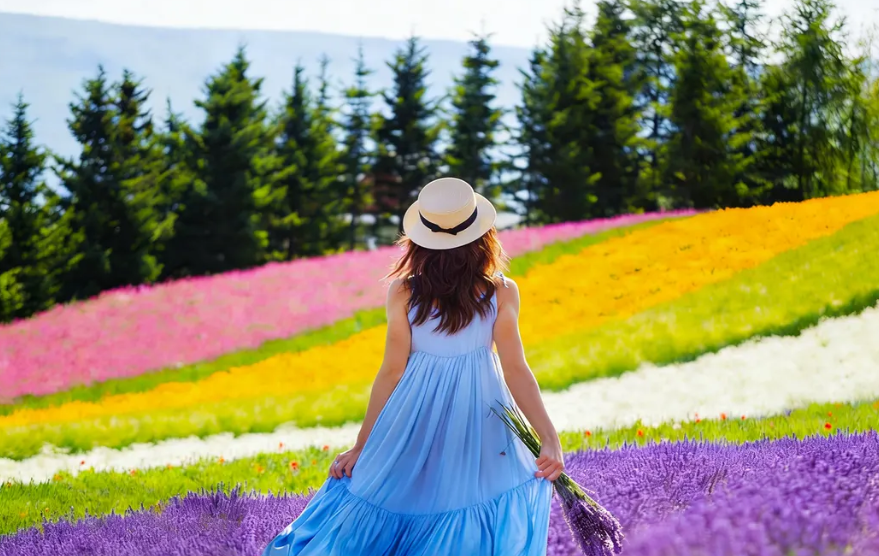 hokkaido summer flower