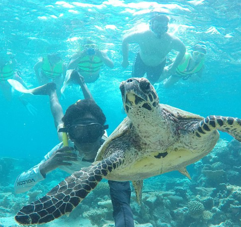 Maldives experience